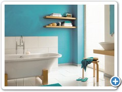 Dulux Bathroom+