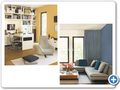 Dulux Feature Wall
